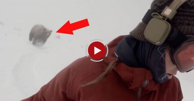 Snowboarder Girl Chased By Bear - I Was Singing Rihanna Work And Didn't Know It Was Behind Me!