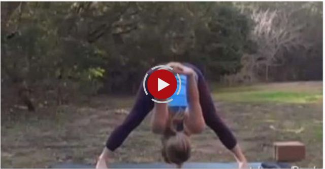 Pets Interrupting Yoga