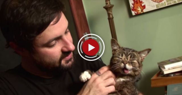 Meet LIL BUB, Internet Cat Sensation