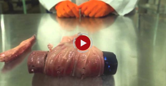 Presenting Oscar, The Modular Body