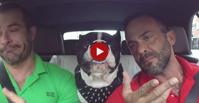 Let's Talk About ***, Baby. Let's Talk About You And Me…