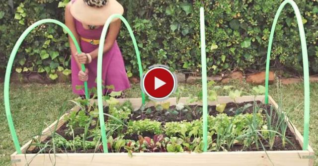 SuzelleDIY - How To Make Your Own Greenhouse