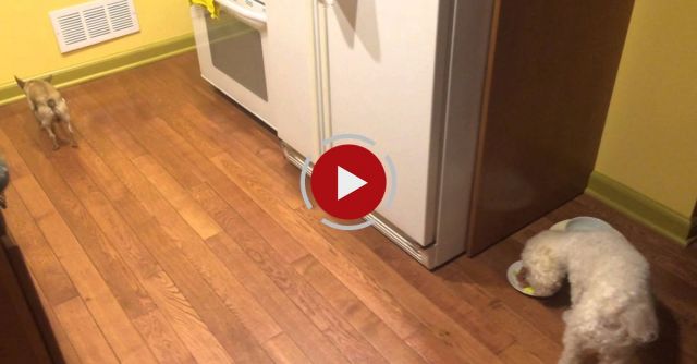 Bonnie Hates To Eat Alone!