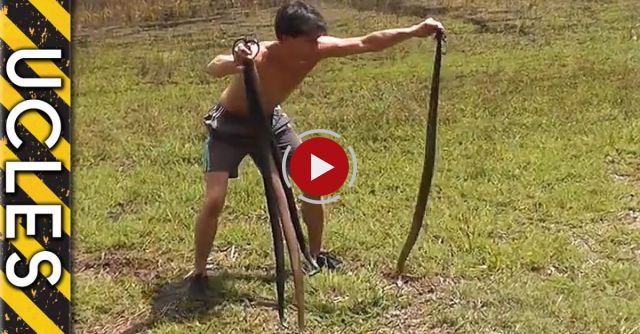 Catching Wild Rabbits Using Snakes: BAREHANDED Rabbit Catch