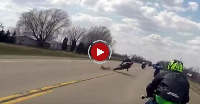 Motorcycle Vs. Dog