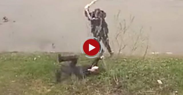 Just A Normal Day In Russia...