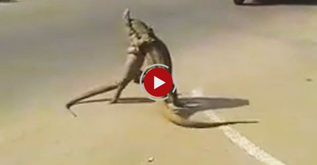 Ozzy Man Reviews: Godzilla Vs Godzilla