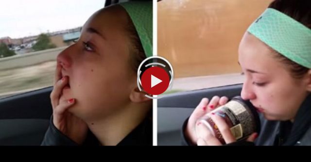 They Killed A Moose And They Want Me To Eat It