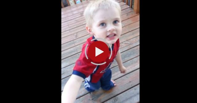 Can I Pet Your Titties?