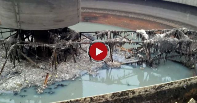 Should You Flush That Wipe? 