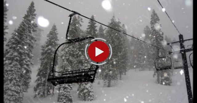 Falling Pine Tree Fouls The Cable Of A Ski Lift