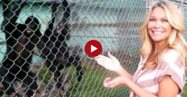 Best Fails Of The Month April 2016 