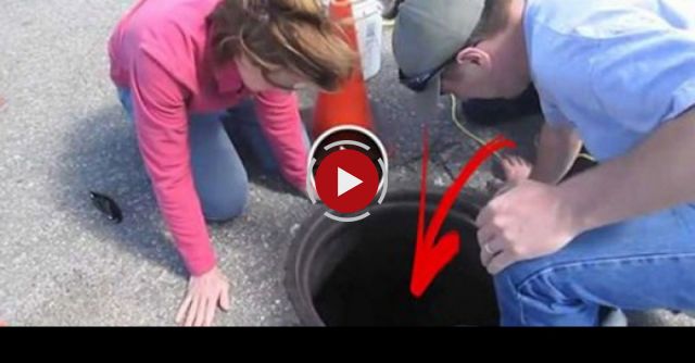 Duck Rescue Is Eventful 