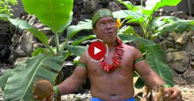 How To Husk A Coconut