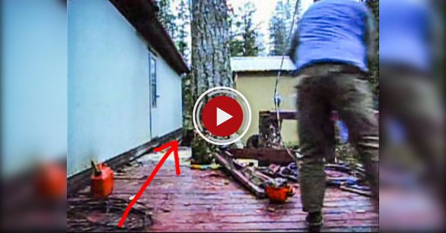 Tree Felling In Close Quarters.