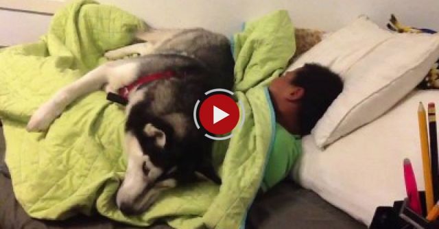 When You're In Denial That You Have To Wake Up