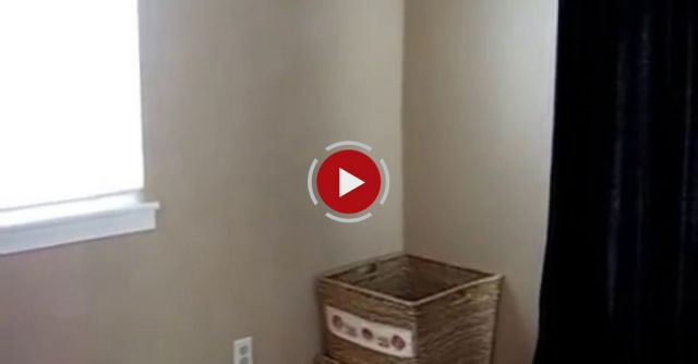 Kitten Catches The Laundry.