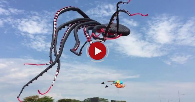 Giant Octopus Kite Flying At Marina Barrage
