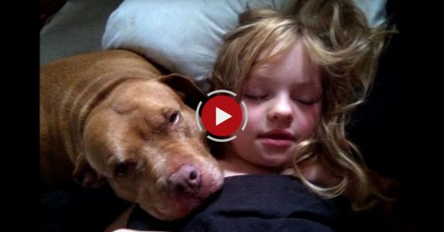 Autistic Child And Pitbull: Inseperable Best Friends: Lacy&Karma