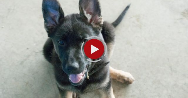 Brynja Won't Share Her Water Bowl!