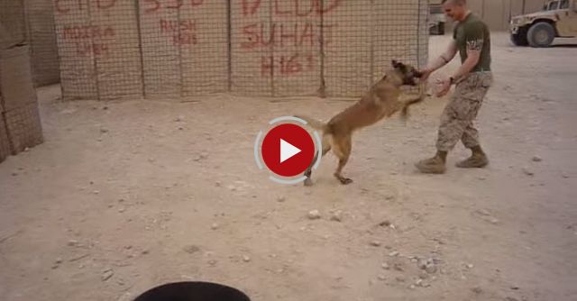 Moira Gets New Shoes