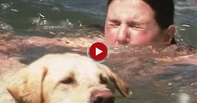 Blind Dog Saves Drowning Girl 