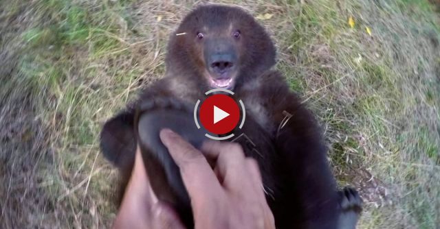 GoPro: Man And Grizzly Bear - Adventures With Bella