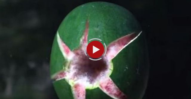 Shooting A Watermelon With A Potato Gun