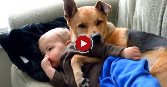 How To Spend A Sick Day