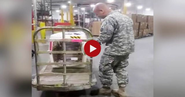 Saving A Soldier's Dog - Please Share