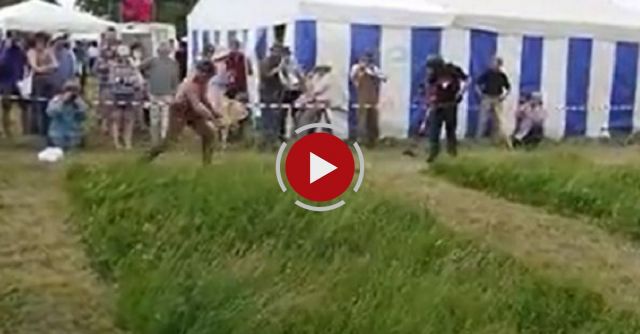 Scythe Vs Brushcutte