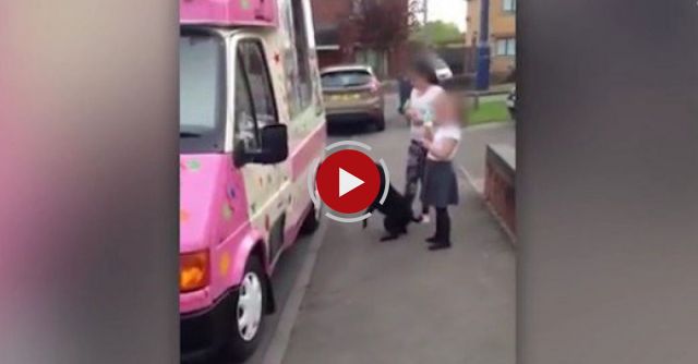 Dog Goes To Ice Cream Van