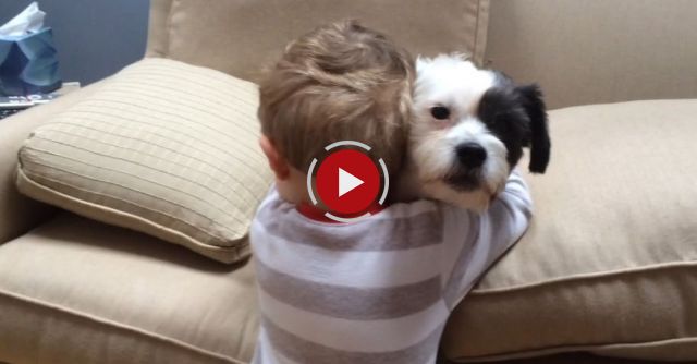 Dog Won't Fetch But His Boy Still Loves Him