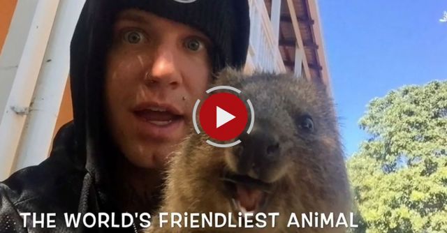 The World's Friendliest Animal