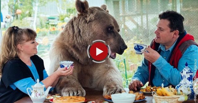 Incredible Family That Lives With A Bear
