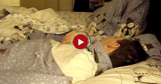 Golden Retriever - Puppy- Morning Wake Up Call