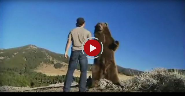Brutus, The Pet Grizzly Bear