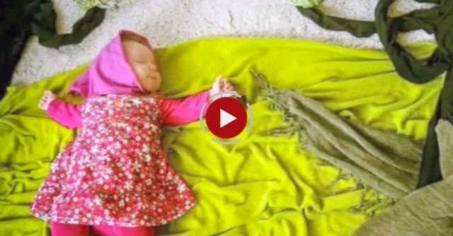 Mila's Daydream- Collection