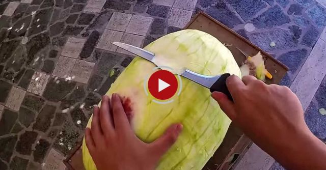 Best Watermelon Carving - Next Level!