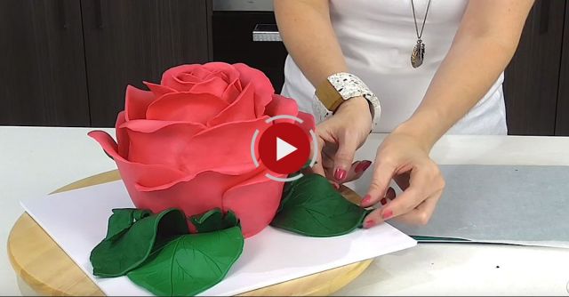 Beautiful Rose Cake - CAKE STYLE