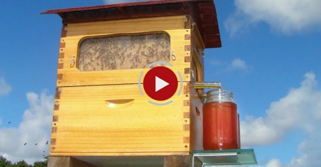 New Invention - Flow: Honey On Tap Directly From Your Beehive