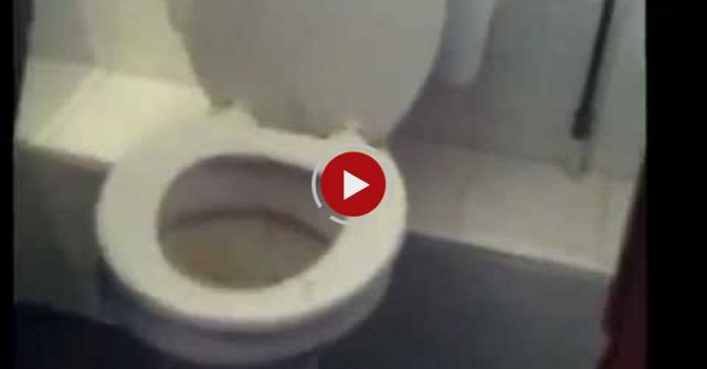 How To Unblock A Toilet