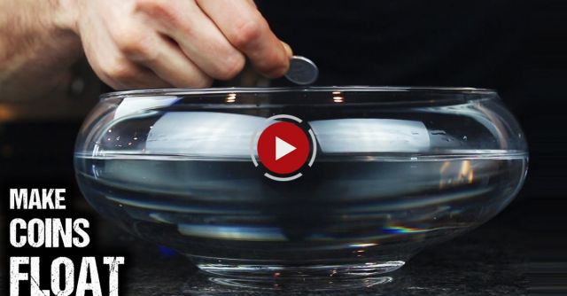 How To Make 1 Yen Coins Float On Water