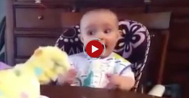 Chicken Toy And Baby Cute