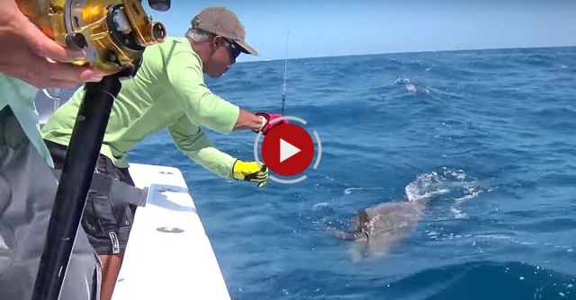 Monster Fishing On Shallow Florida Wrecks