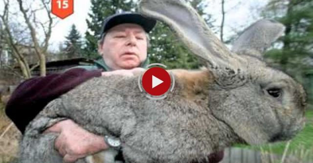 25 Images You Won't Believe Weren't Photoshopped