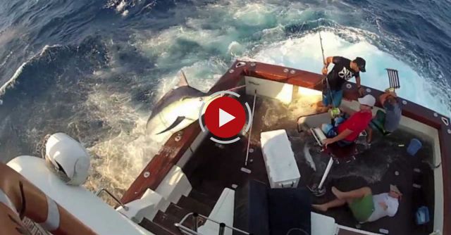 600lb Black Marlin Jumps In Boat And Lands On The Crew!  Captured On 4 Different Cameras! Very Scary