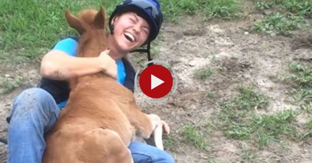Sunny And The Adorable Baby Horse!