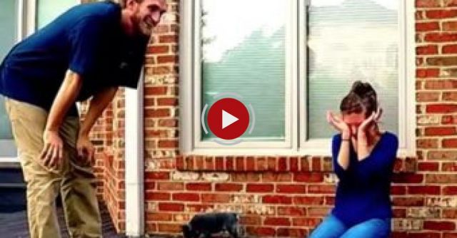 Best Surprise Puppy Reaction Ever