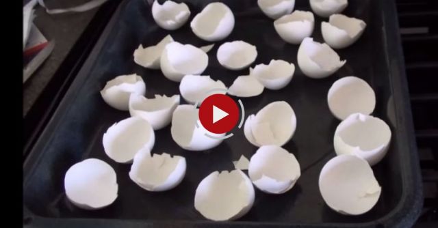 How To Make Eggshell Calcium